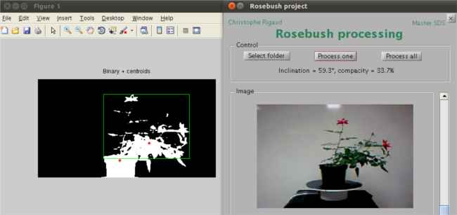 Capture d'écran de l'interface développée avec Matlab permettant de calculer l'angle d'inclinaison et la compacité d'un arbuste